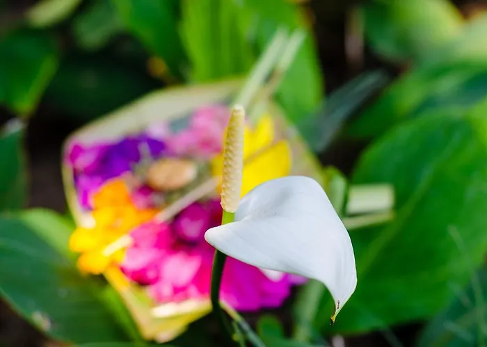 Sayan Romantis Ubud 2*